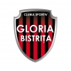 Stema gloria bistrita