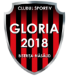 Stema gloria 2018 bistrita nasaud